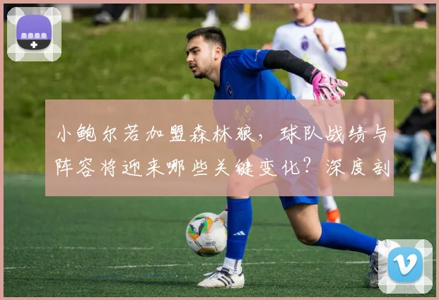 小鲍尔若加盟森林狼，球队战绩与阵容将迎来哪些关键变化？深度剖析其潜在影响