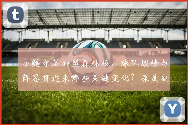 小鲍尔若加盟森林狼,球队战绩与阵容将迎来哪些关键变化?深度剖析其潜在影响