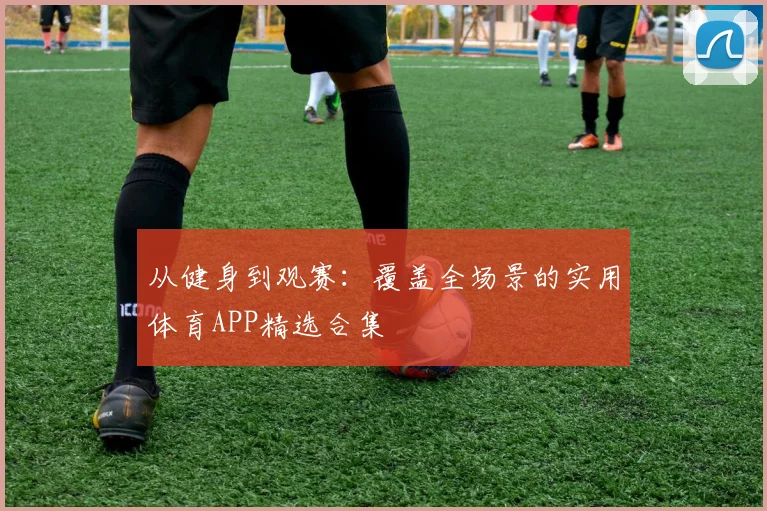 从健身到观赛：覆盖全场景的实用体育APP精选合集